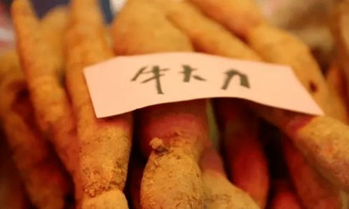 好嗨喲 東方市江邊鄉(xiāng)黎族傳統(tǒng)節(jié)日 山欄節(jié) 活動(dòng)日程出爐,一起約起來(lái)