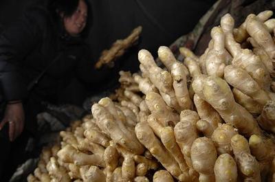 生姜大蒜批發(fā)價(jià)格大幅回落