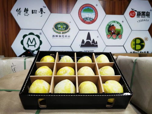 樂(lè)昌九峰鎮(zhèn)以黨建引領(lǐng)發(fā)展特色農(nóng)業(yè) 產(chǎn)業(yè)興旺助力脫貧致富