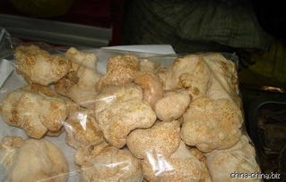土特產(chǎn) 農(nóng)副產(chǎn)品 猴頭菌