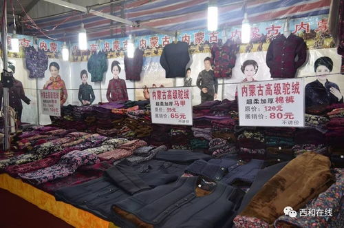 明天快到西和向陽廣場領(lǐng)菜籽油了,僅限前500人
