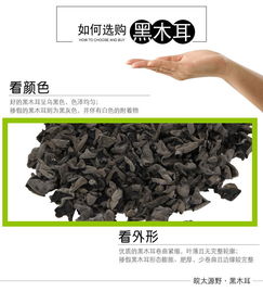 皖太源野 黑木耳無根小木耳特產(chǎn)小碗耳老鼠秋耳干貨批發(fā)