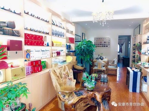 以協會為抓手 推動企業發展 青創走訪側記 石泉站