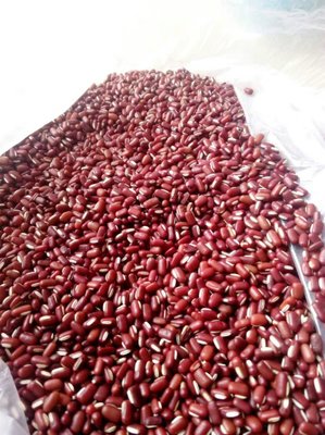 [赤小豆批發]安徽亳州利辛縣赤小豆 6.50元/斤赤小豆赤小豆農 _ 一畝田
