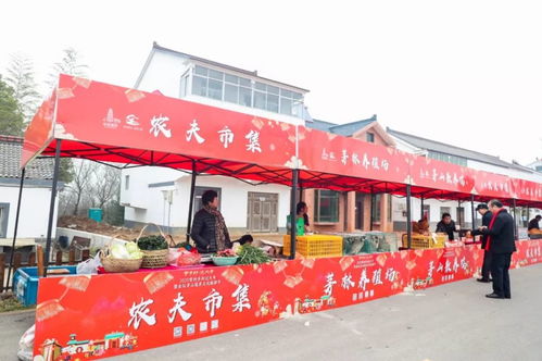 仙味鄉村年味濃,2020常州鄉村過大年暨金壇茅山道養文化旅游節盛大開幕